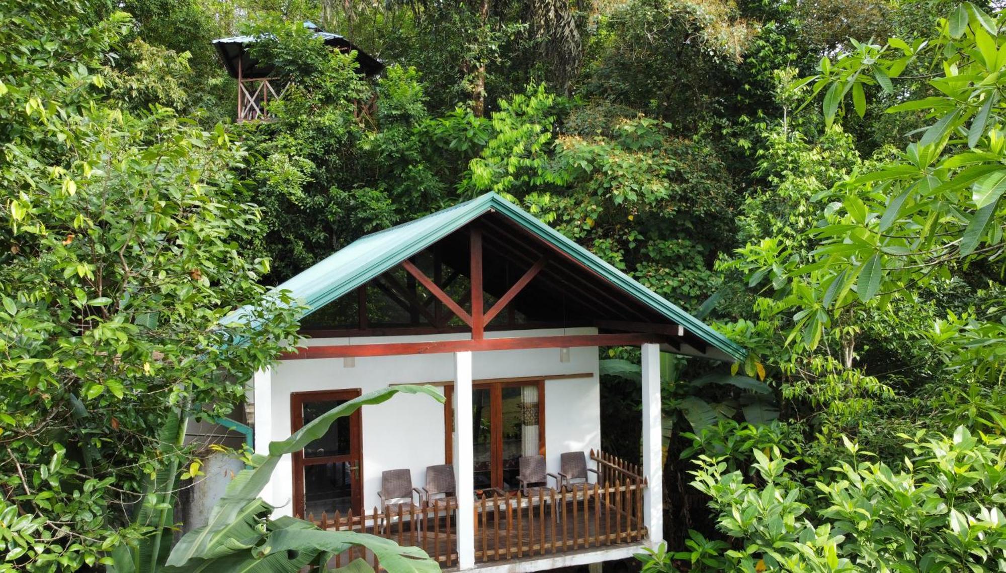 Sinharaja Rest Hotel Deniyaya Ngoại thất bức ảnh